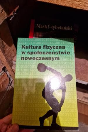 Kultura fizyczna w społeczeństwie nowoczesnym