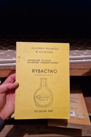 RYBACTWO