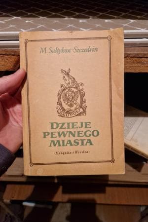 Dzieje Pewnego Miasta