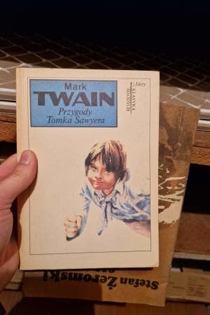 Przygody Tomka Sawyera