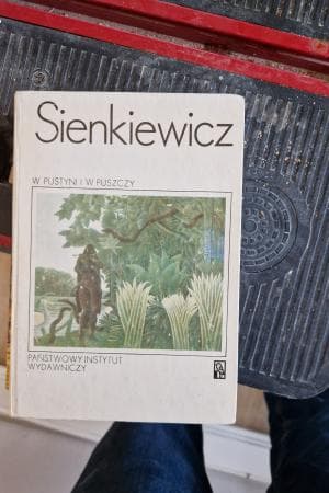 W PUSTYNI I W PUSZCZY