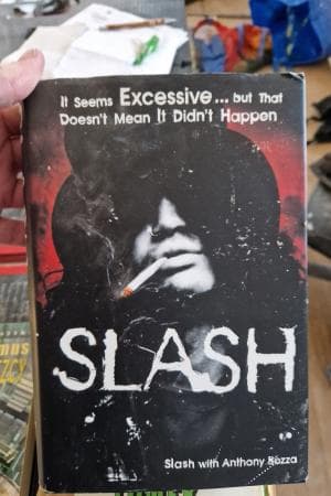 It Seems Excessive... but That Doesn't Mean It Didn't Happen