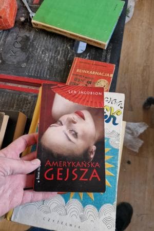 AMERYKANŹSKA GEJSZA