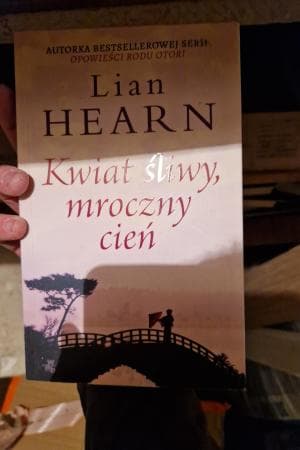 Kwiat sliwy, mroczny cien